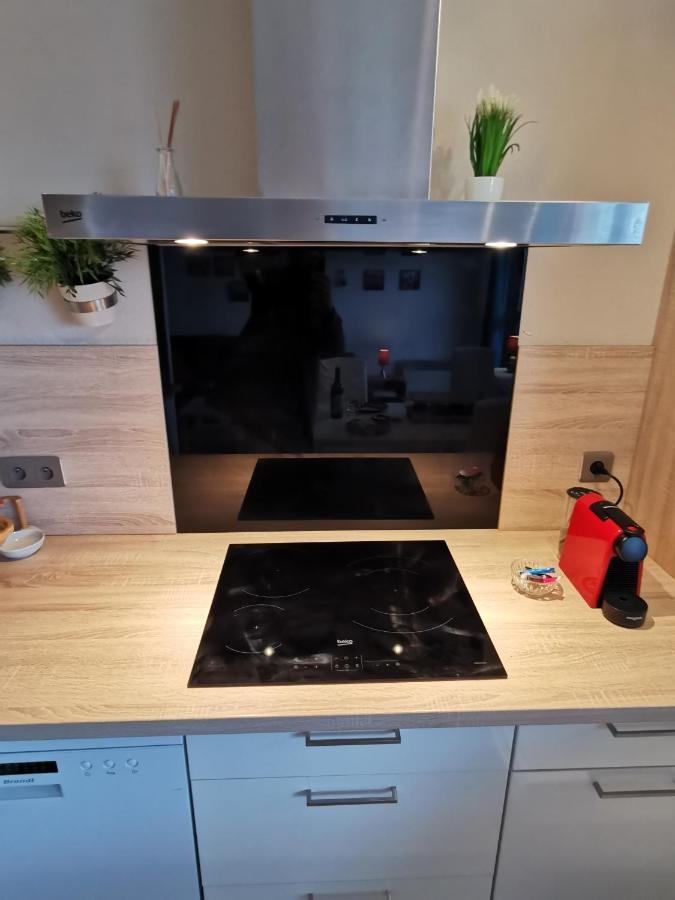 Le Duplex - Hyper Centre - Gare - Wifi - Netflix - Disney + Annecy Dış mekan fotoğraf
